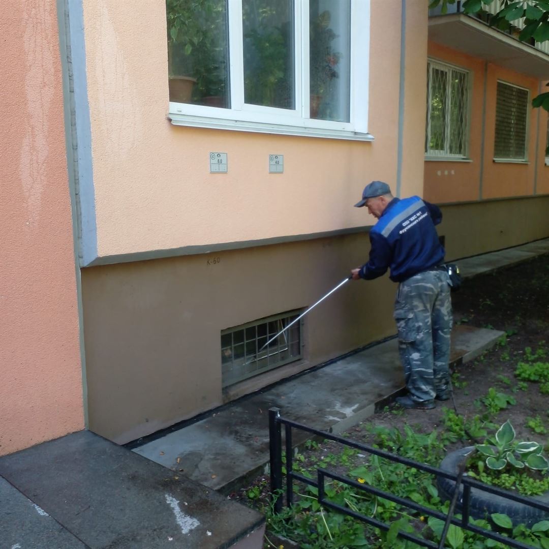 Мытье фасада и отмостки по адресу ул. Белградская д. 20 к. 1