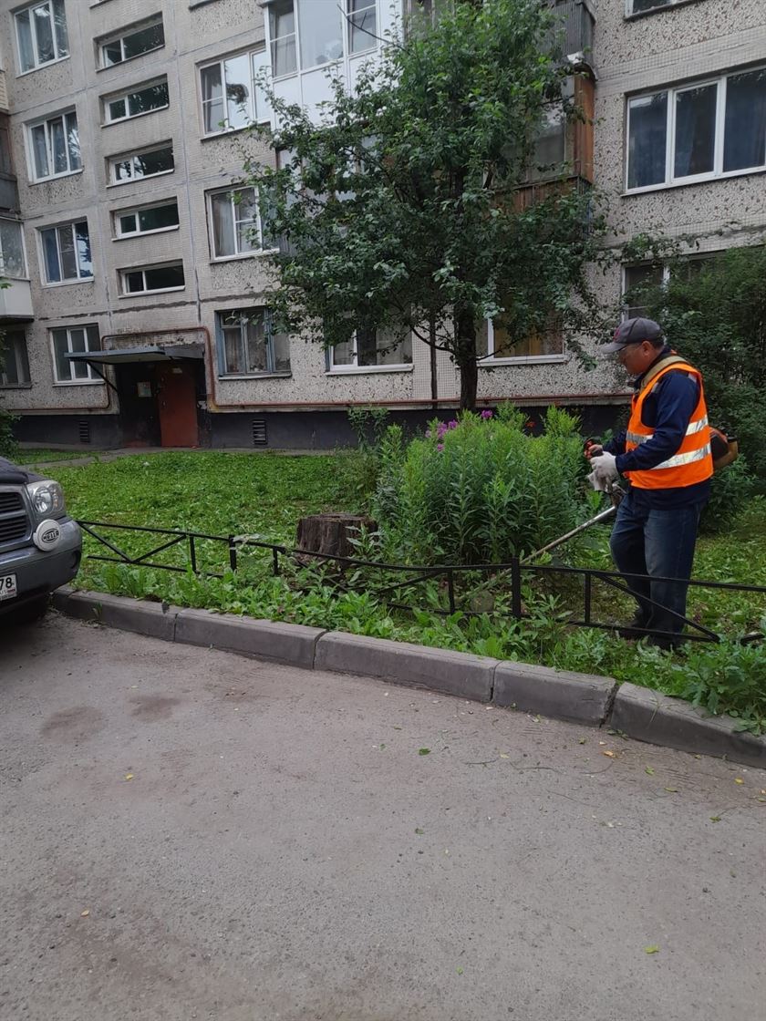 Покос газона по адресу ул. Белградская д. 28 к. 4 