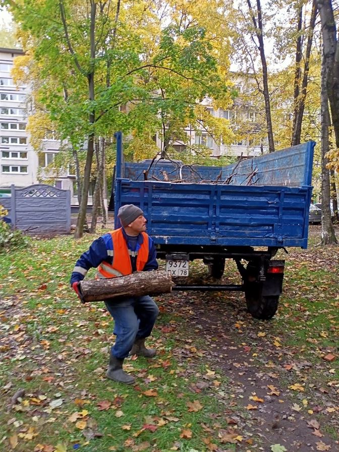 Вывоз спиленных деревьев по адресу пр. Славы д. 10 к. 5