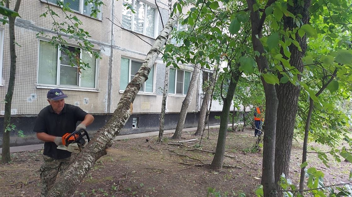 Спил аварийного дерева по адресу ул. Белградская д. 6 к . 2