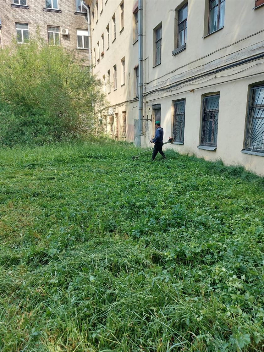 Покос газона по адресу ул. Курская д. 31