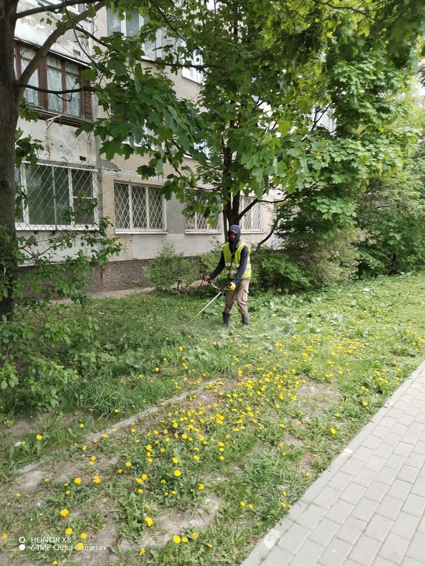 Покос газонов по адресу ул. Димитрова д. 4 к. 1