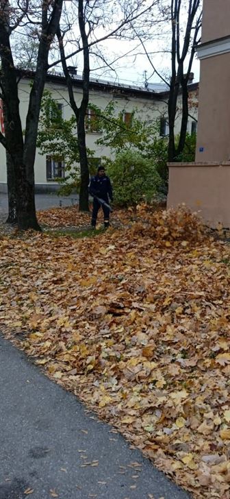 Уборка листвы