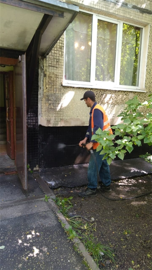 Помывка фасада по адресу ул. Будапештская д. 17 к. 1