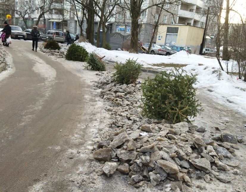 Уборка территории от снега и наледи по адресу ул. Будапештская д. 17 к. 1 (ДО)