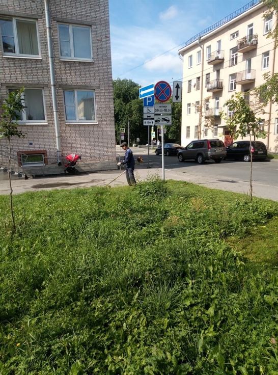 Покос газона по адресу ул. Прилукская д. 13