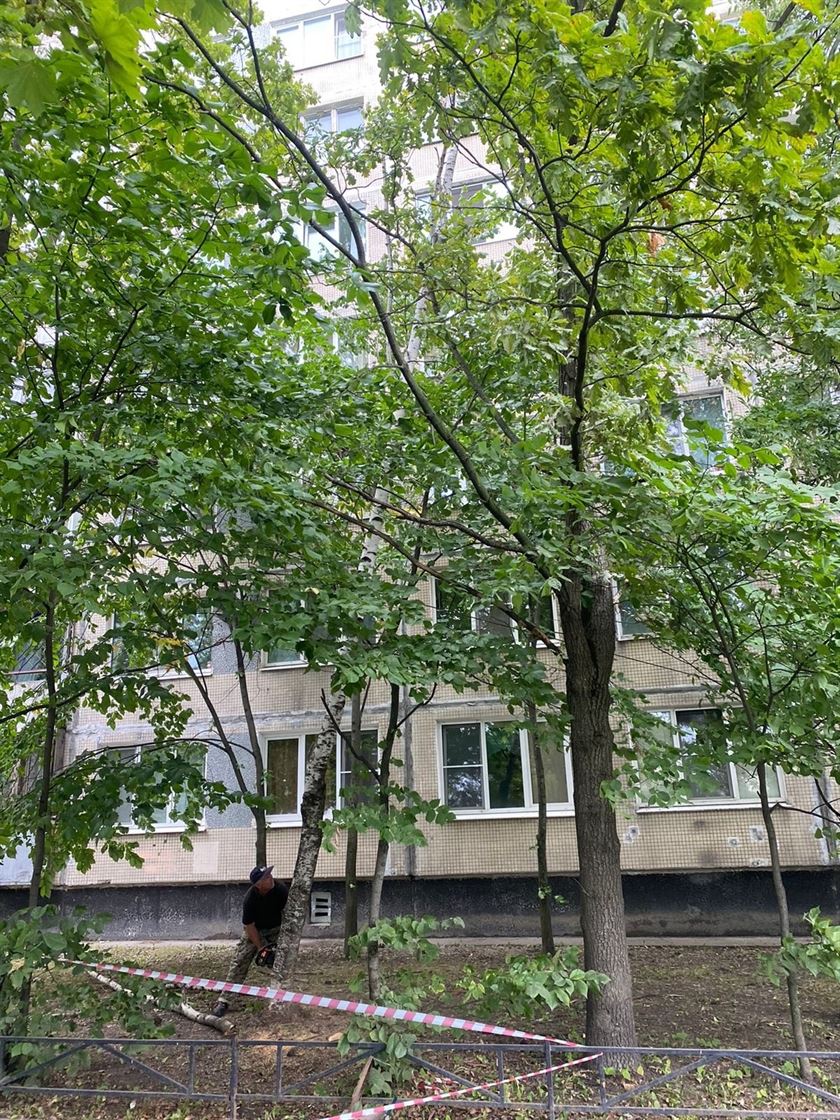 Спил аварийного дерева по адресу ул. Белградская д. 6 к . 2